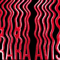 RARA AVIS