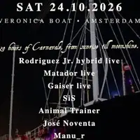 Feestgedruis