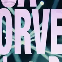 Lisa Korver all day