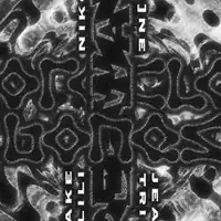 HYPERWAVES X Oracle Bones